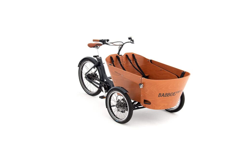 Babboe Carve E Mountain shop it at Bikelix with free fast shipping